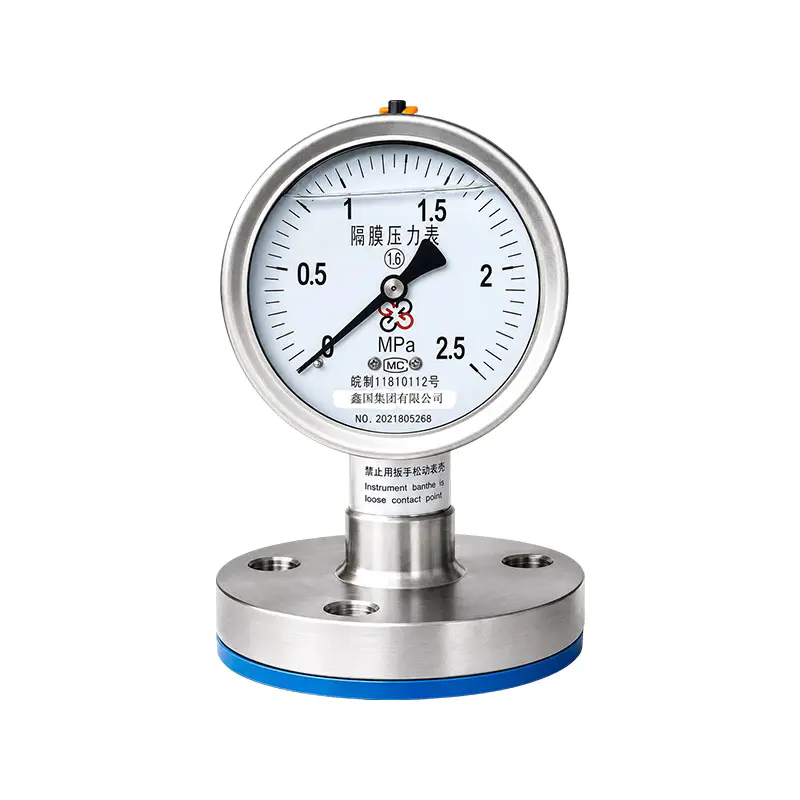Manomètre à membrane sanitaire XG/Y-M Manomètre à membrane sanitaire XG/Y-M