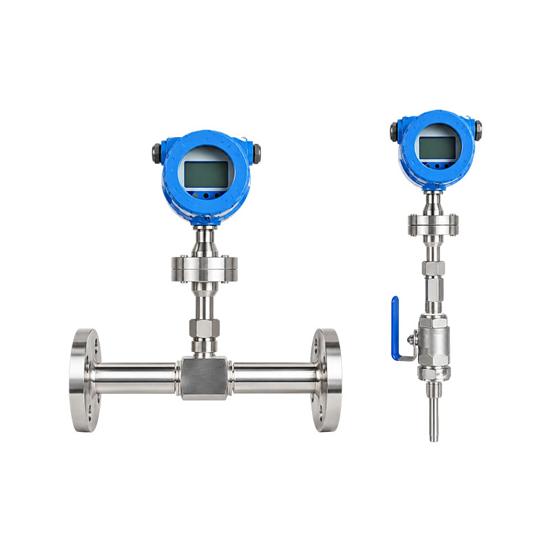 Débitmètre massique de gaz thermique série XG-RSL